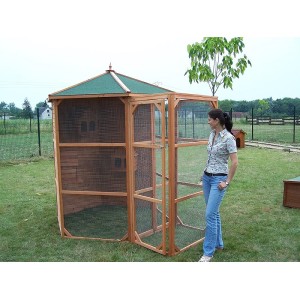 CASETTA GABBIA PER UCCELLI VOLIERA FORESTA ESAGONALE 235X235X238H