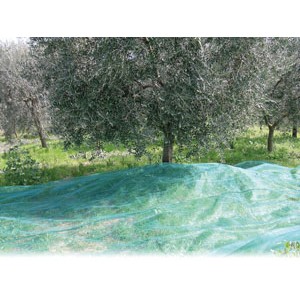 Confine RETE PER OLIVE ANTISPINE CON SPACCO  mt.10x10