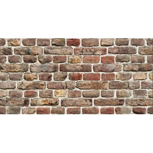 PANNELLO DECORATIVO CM 50X100 Disegno BRICK PEZZI: 15