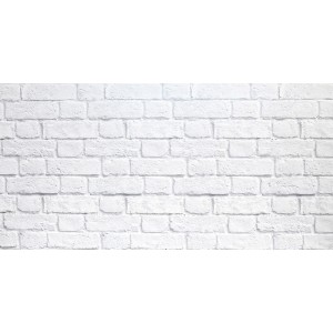 PANNELLO DECORATIVO CM 50X100 DISEGNO MURO PEZZI: 15