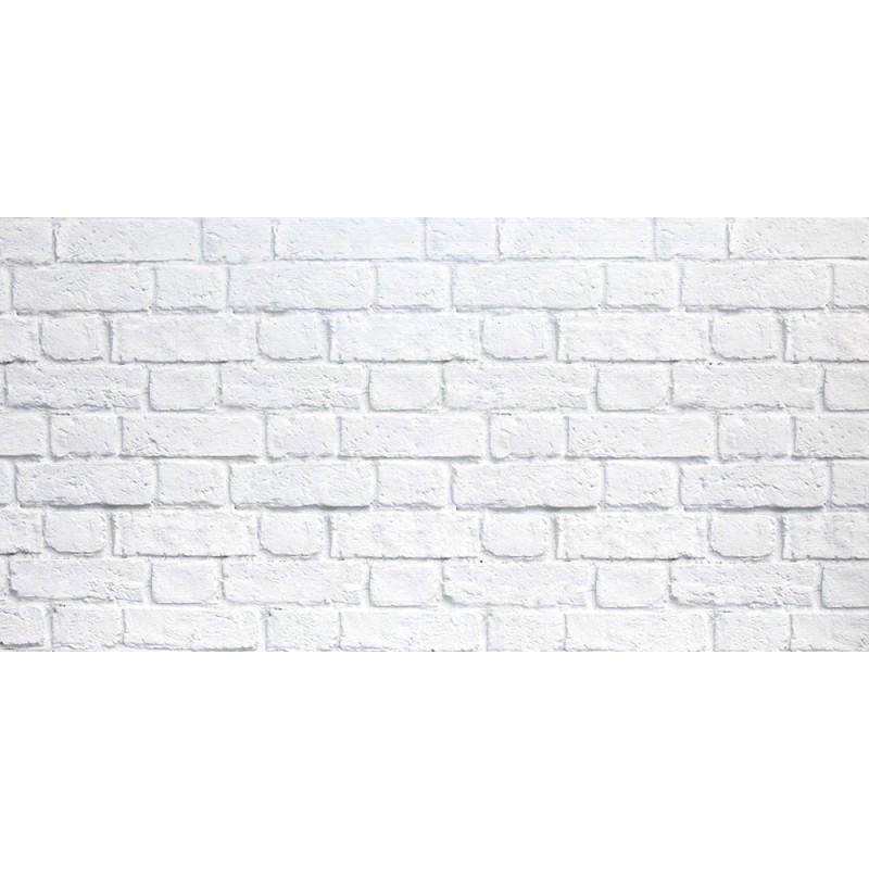 PANNELLO DECORATIVO CM 50X100 DISEGNO MURO PEZZI: 15 PANNELLO DECORATIVO CM 50X100 DISEGNO MURO PEZZI: 15