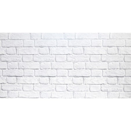PANNELLO DECORATIVO CM 50X100 DISEGNO MURO PEZZI: 15