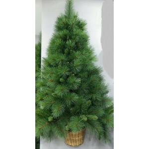 ALBERO DI NATALE A PARETE BASKET CM.180 RAMI PVC AD AGHI BASE CM.110 INTERNO / ESTERNO