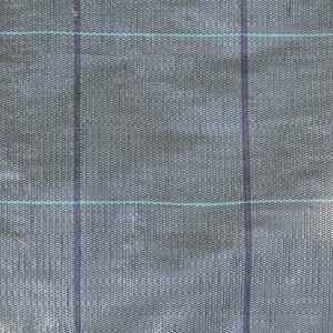 TELO PACCIAMATURA POLIPROPILENE ANTISTRAPPO H.1,57 X 100MT