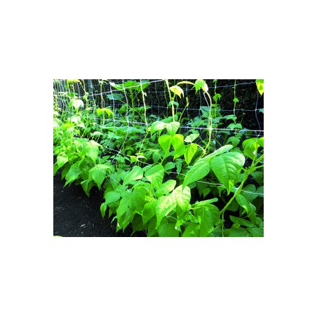 Confine RETE PER ORTAGGI BIANCA  mt. 2x  50