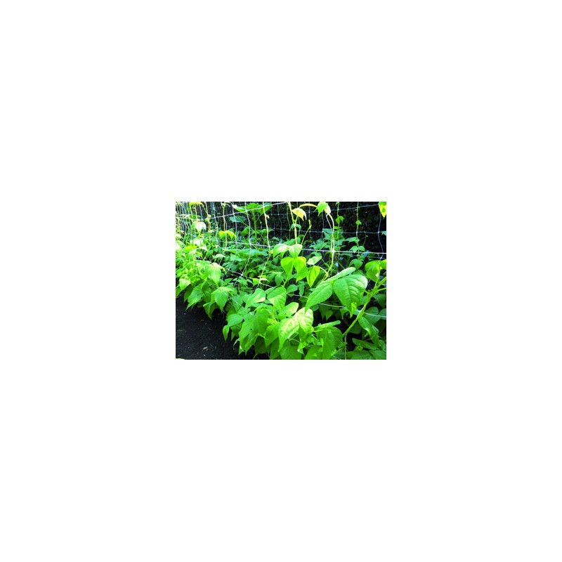 Confine RETE PER ORTAGGI BIANCA mt. 2x 30 Confine RETE PER ORTAGGI BIANCA mt. 2x 30