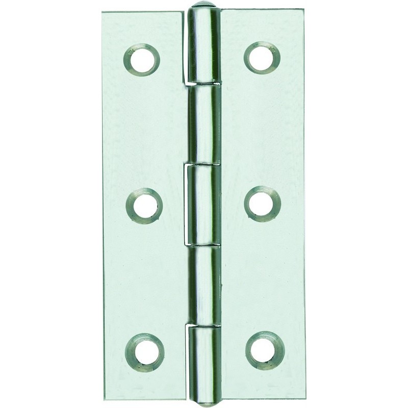 CERNIERA INOX STRETTA ART.120IN MM.50HX31 PERNO FISSO 12 PZ. CERNIERA INOX STRETTA ART.120IN MM.50HX31 PERNO FISSO 12 PZ.