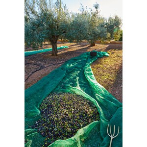 10 PZ.TELO RETE RACCOLTA OLIVE MT.4X8 ANTISPINA CON OCCHIELLI