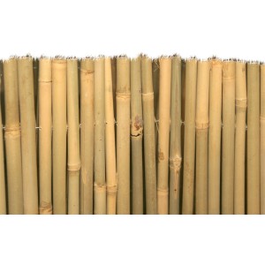 ARELLA BRIXO MISTER BAMBU 200X300CM