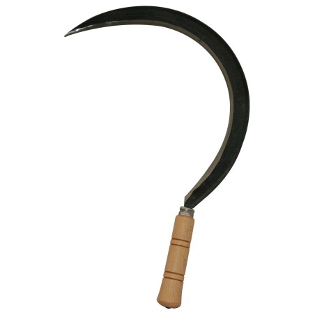 FALCIOLA BRIXO STRETTA 658/A C/COSTA 2