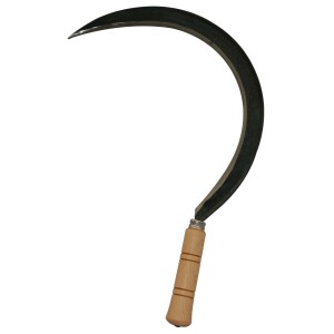 FALCIOLA BRIXO STRETTA 658/A C/COSTA 1