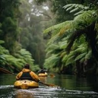 Canoe e Kayak