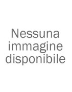 Cesoie, Seghe e Segacci